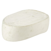 Molitan nyereg Pionýr 555